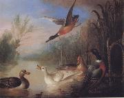 Waterfowl in a Landscape